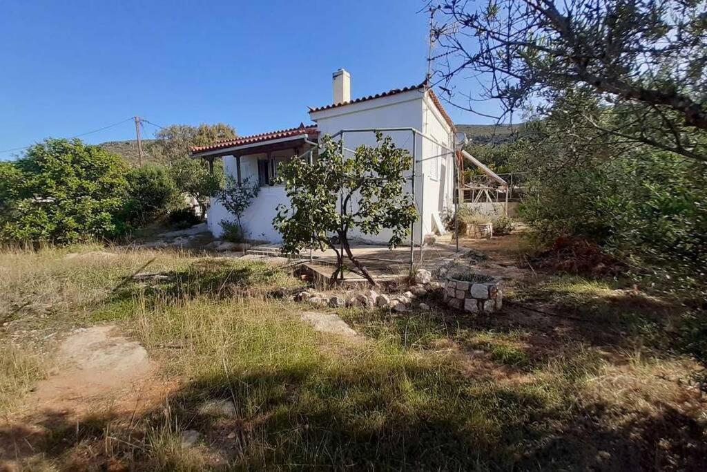 Elafonisos Detached House In Quiet Olive Grove, Starlink Internet & Smart Projector! Elafonissos Exterior foto