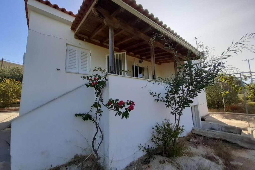 Elafonisos Detached House In Quiet Olive Grove, Starlink Internet & Smart Projector! Elafonissos Exterior foto